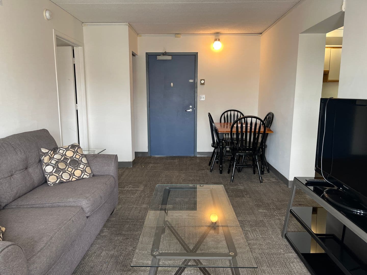 Ithaca Apartment: 110 Dryden Rd