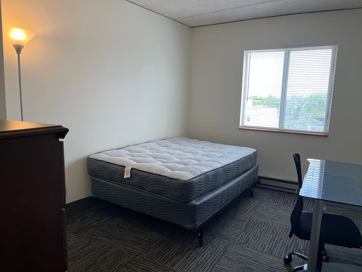 Ithaca Apartment: 110 Dryden Rd