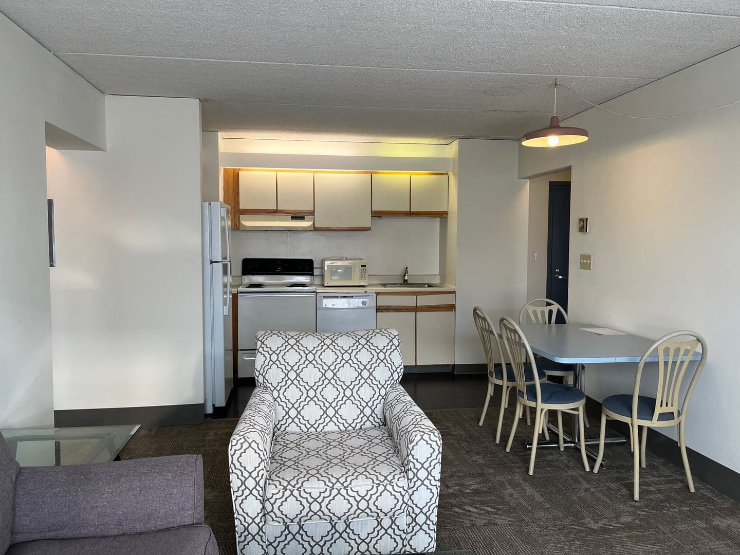 Ithaca Apartment: 110 Dryden Rd