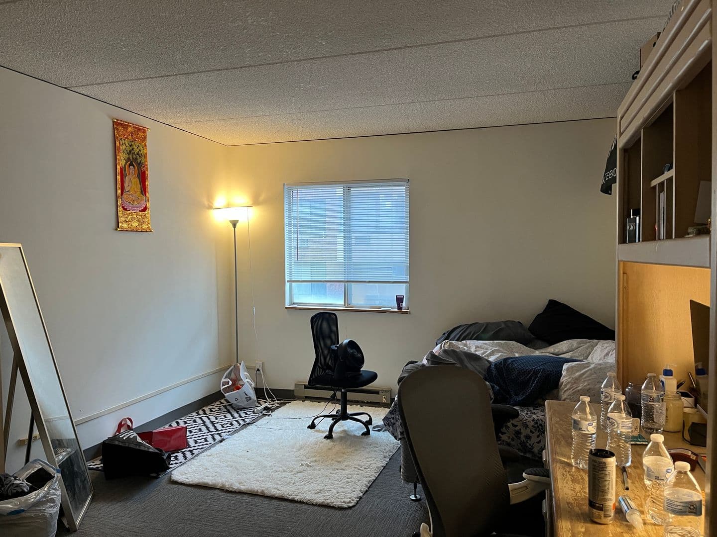 Ithaca Apartment: 110 Dryden Rd
