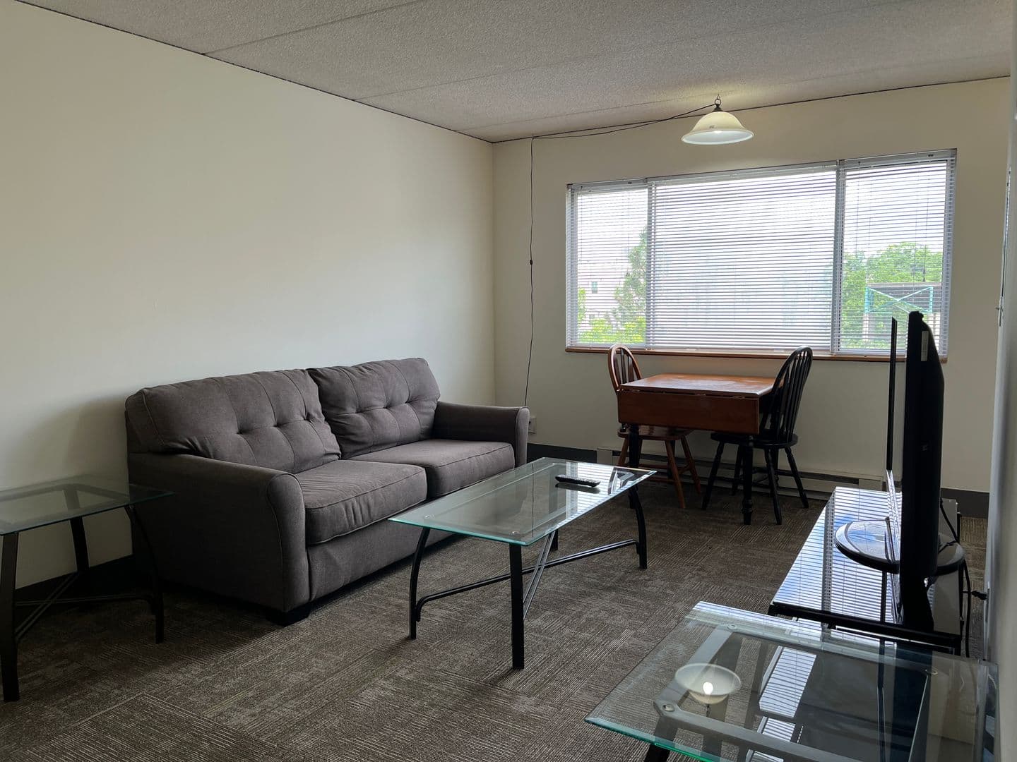 Ithaca Apartment: 110 Dryden Rd