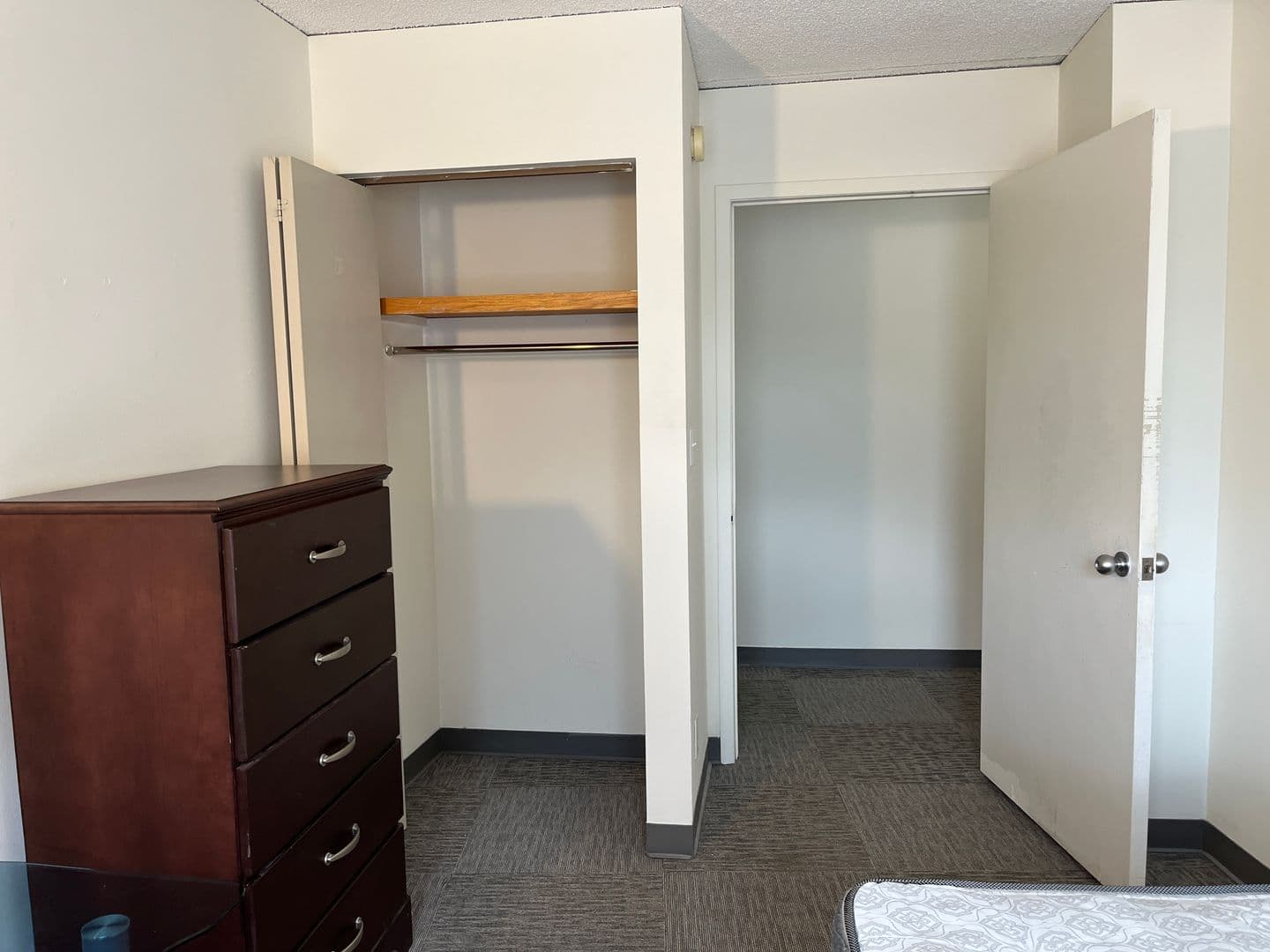 Ithaca Apartment: 110 Dryden Rd