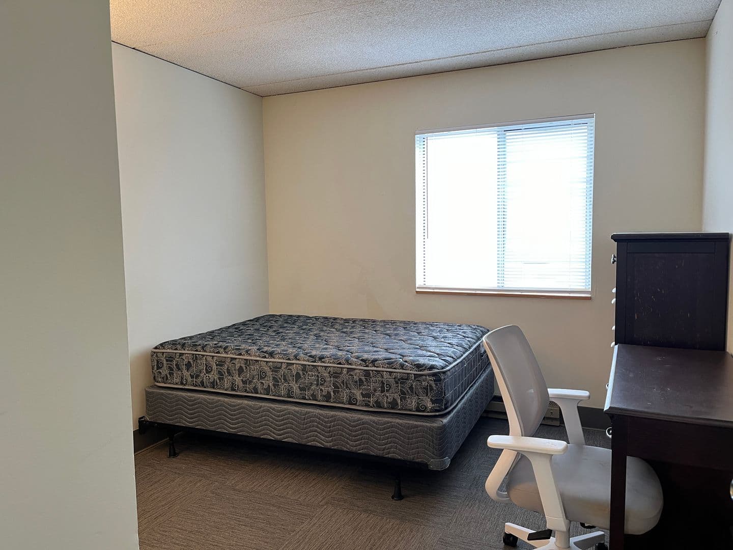 Ithaca Apartment: 110 Dryden Rd