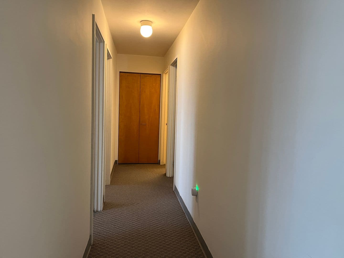 Ithaca Apartment: 516 University Ave