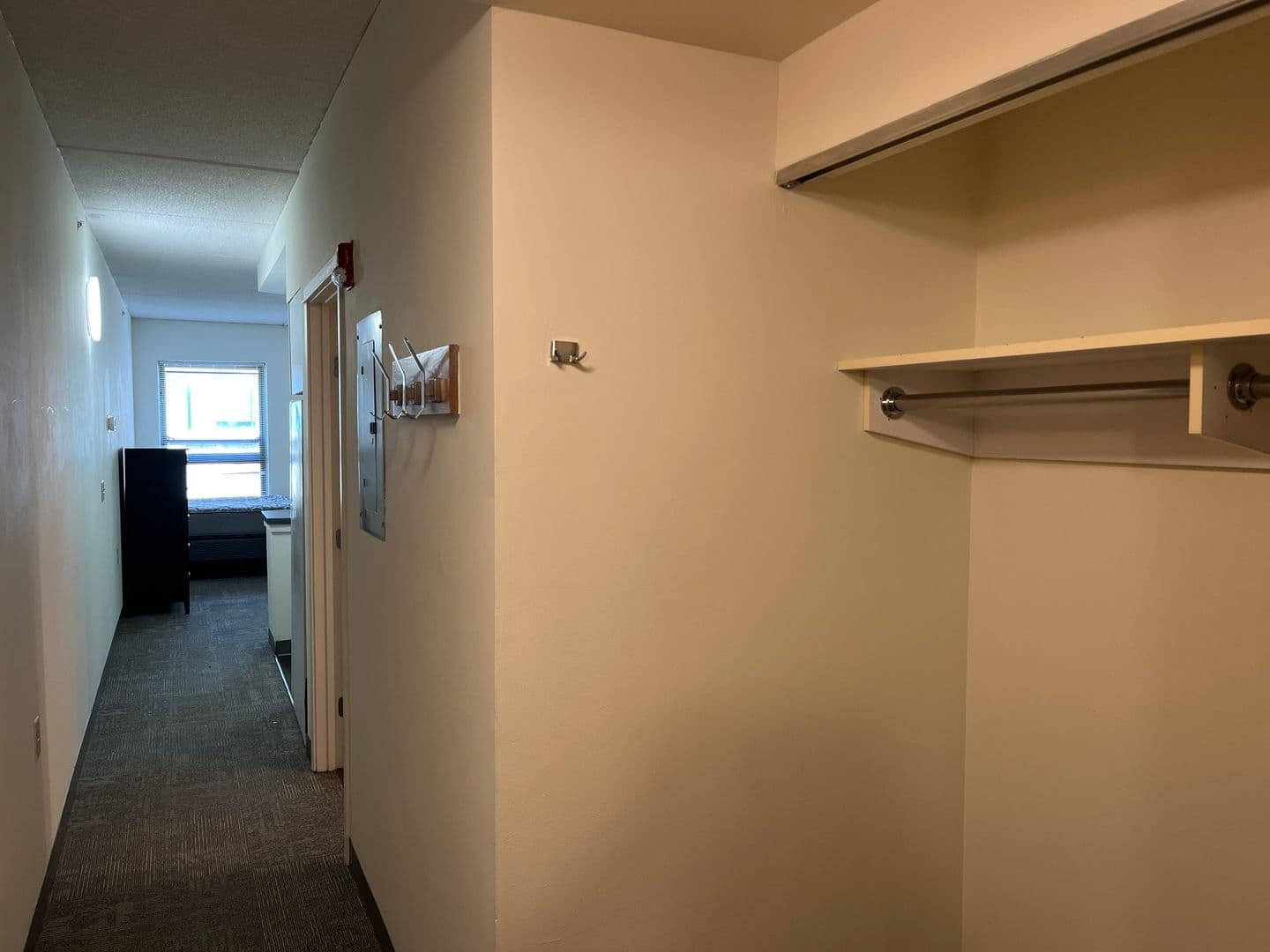 Ithaca Apartment: 407 College Ave