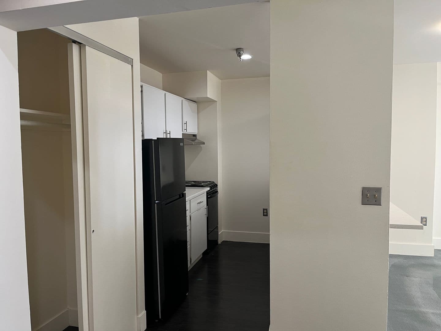 Ithaca Apartment: 171 E State St