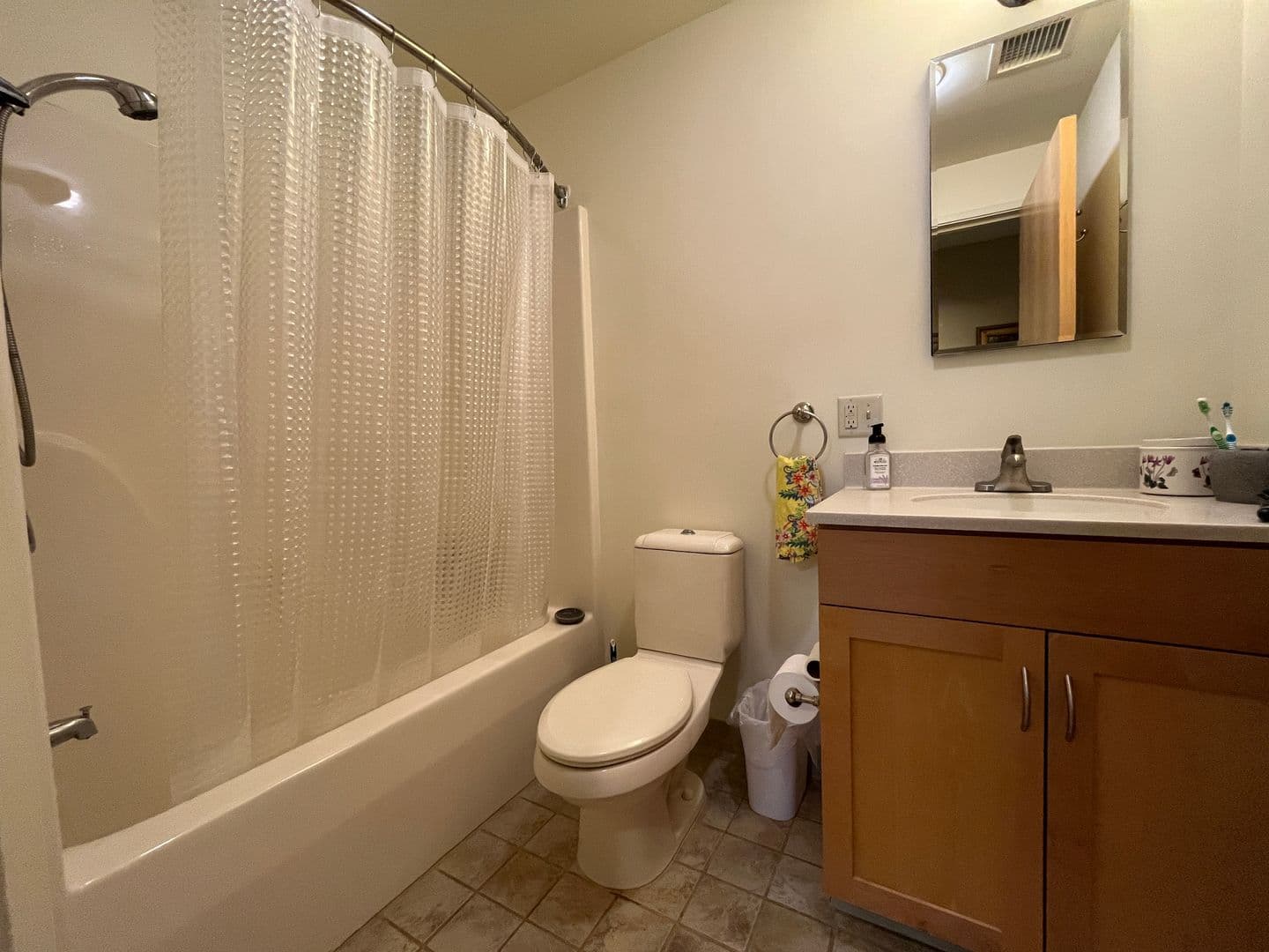 Ithaca Apartment: 311 E Green