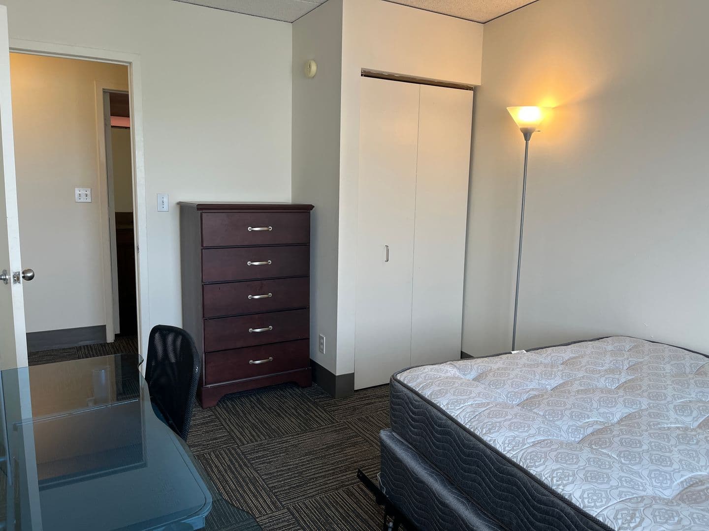Ithaca Apartment: 110 Dryden Rd