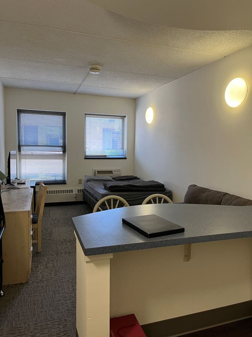 Ithaca Apartment: 407 College Ave