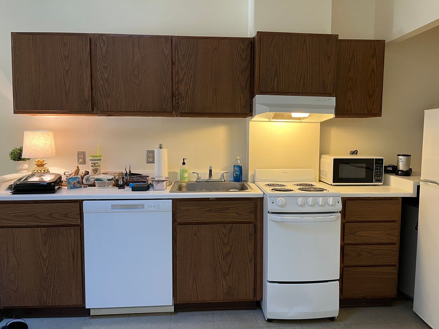 Ithaca Apartment: 171 E State St