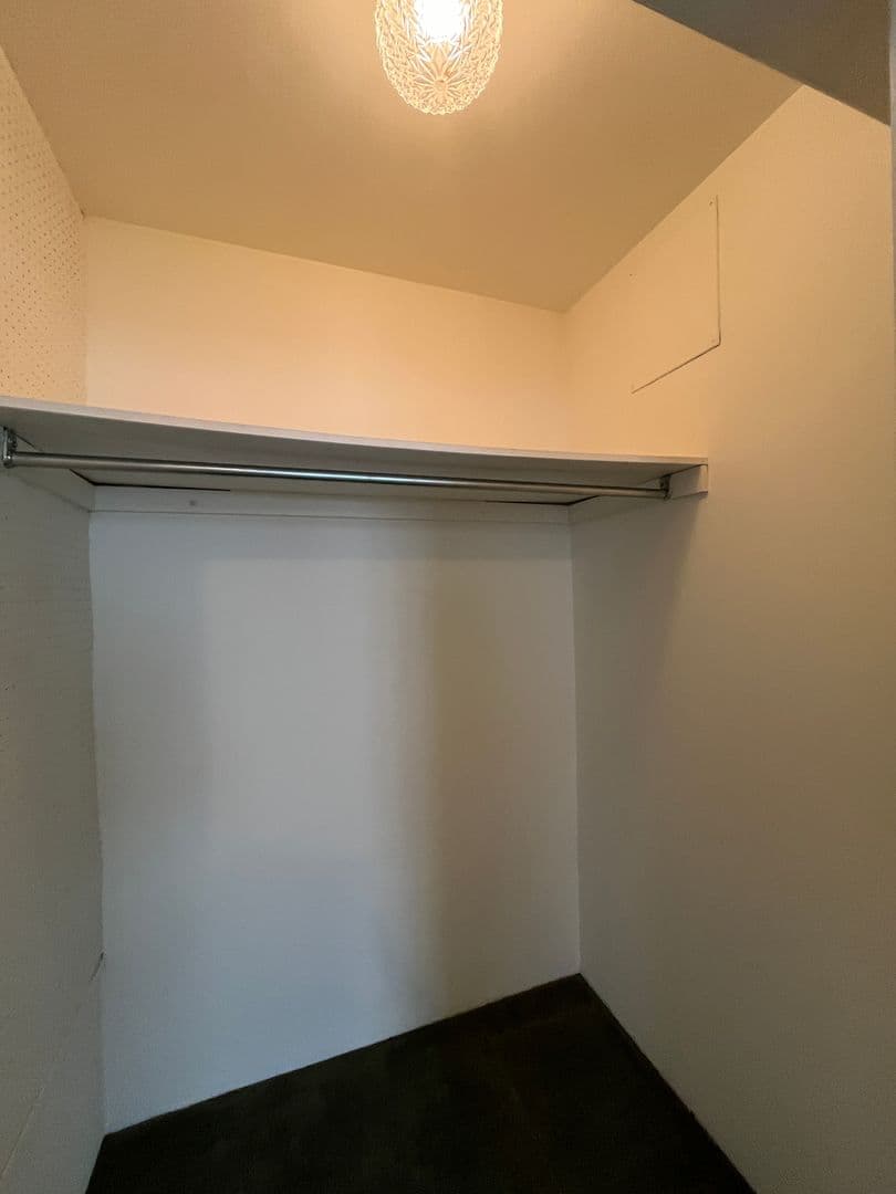Ithaca Apartment: 100 W Buffalo St