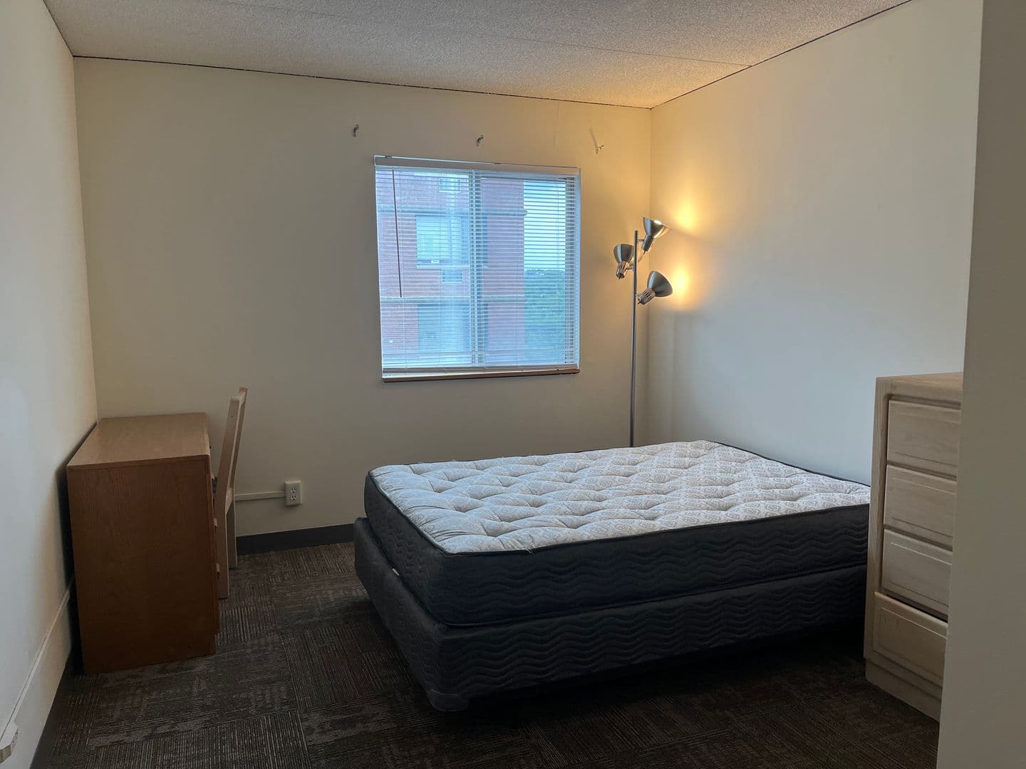 Ithaca Apartment: 110 Dryden Rd