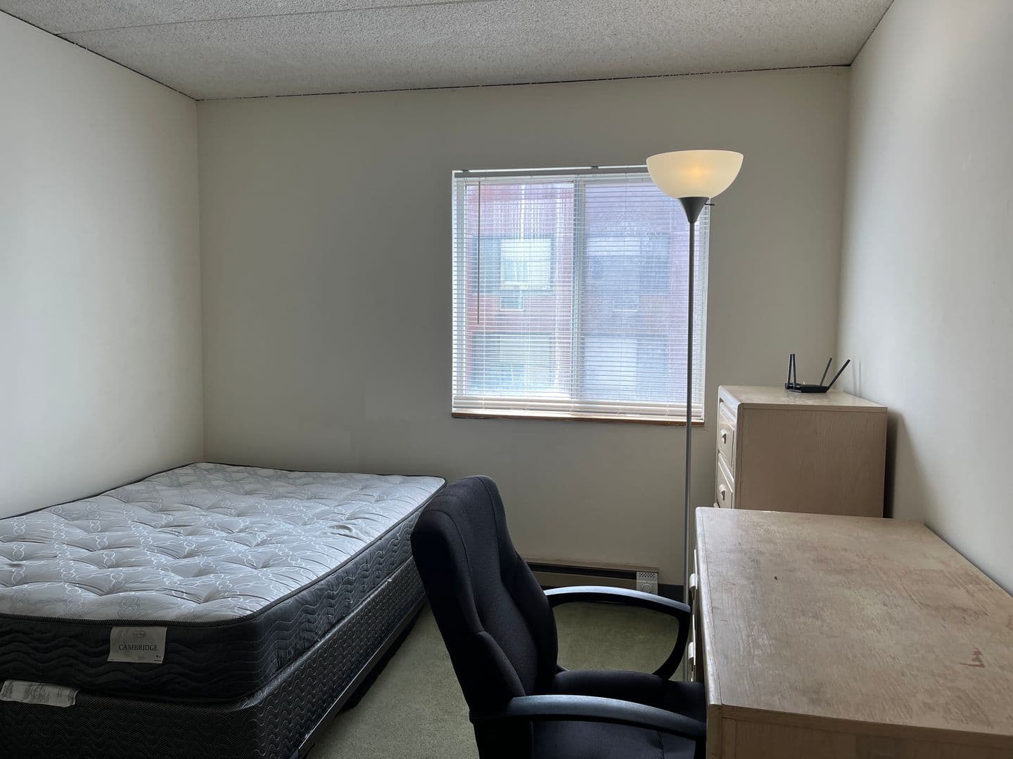 Ithaca Apartment: 110 Dryden Rd