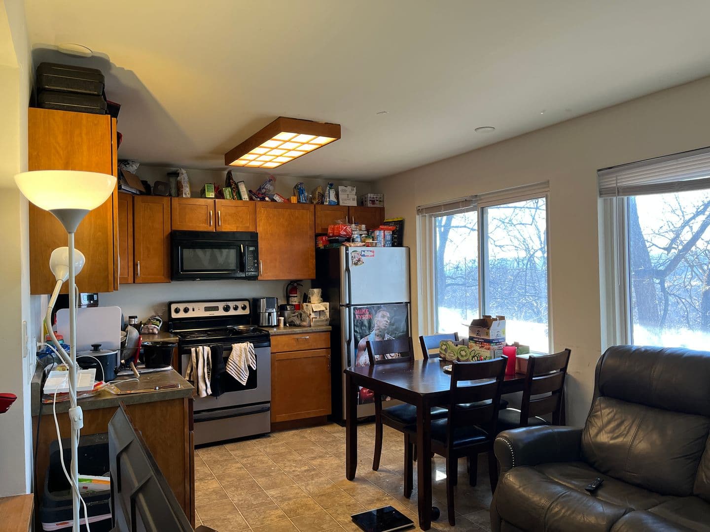 Ithaca Apartment: 516 University Ave