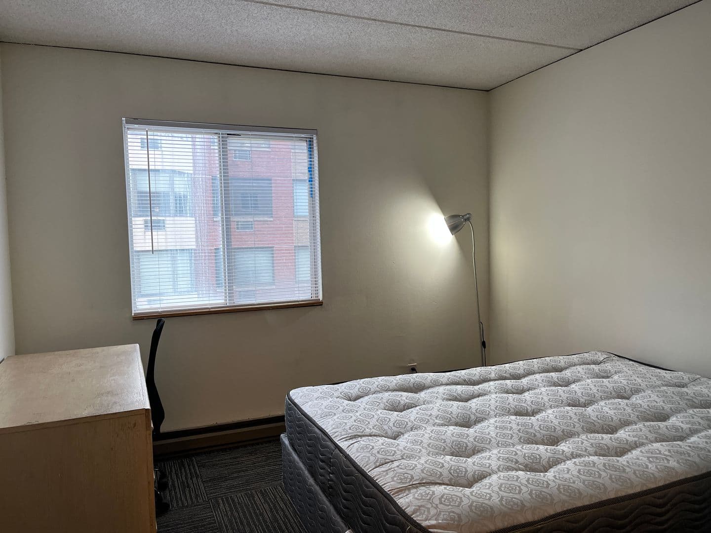 Ithaca Apartment: 110 Dryden Rd