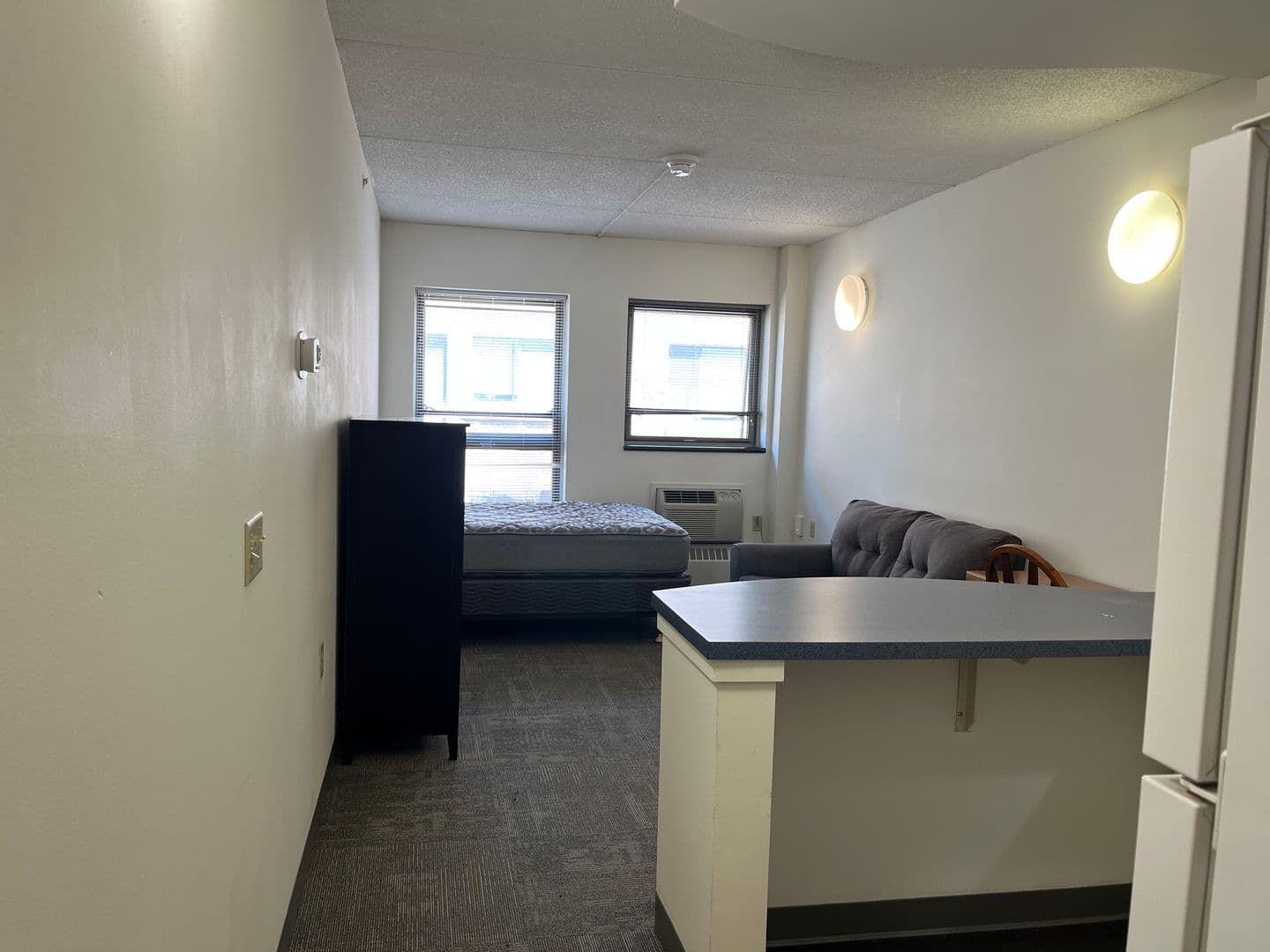 Ithaca Apartment: 407 College Ave