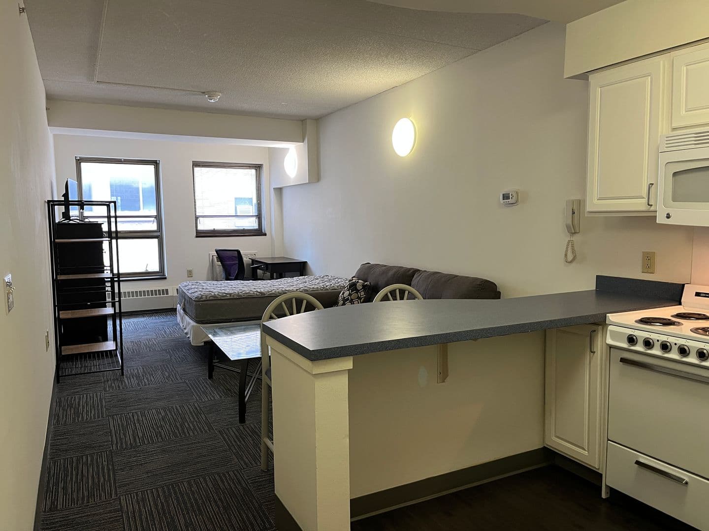 Ithaca Apartment: 407 College Ave