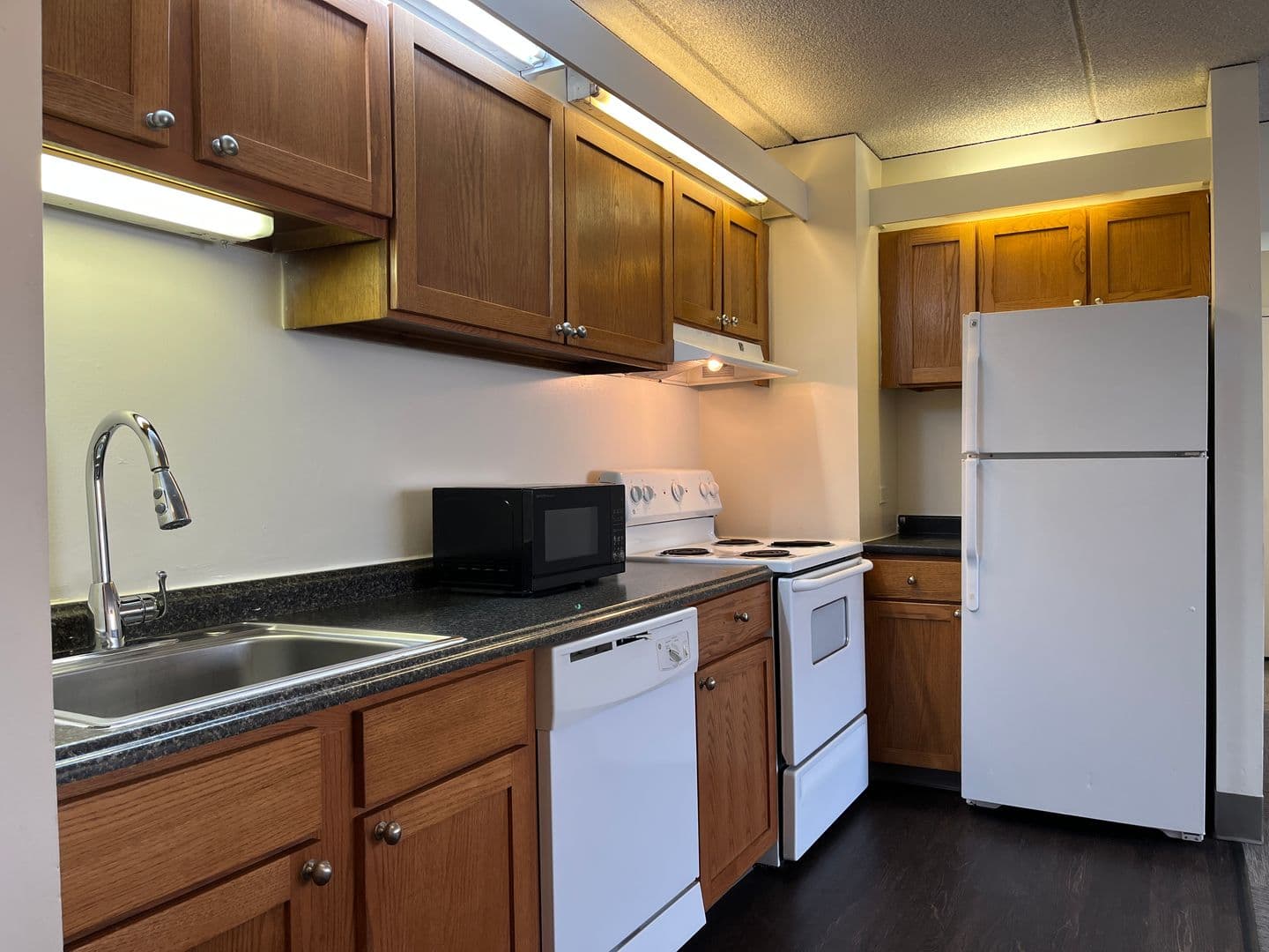 Ithaca Apartment: 110 Dryden Rd