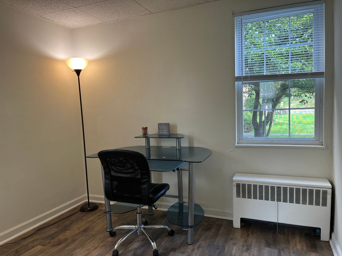 Ithaca Apartment: 319 Highland Ave