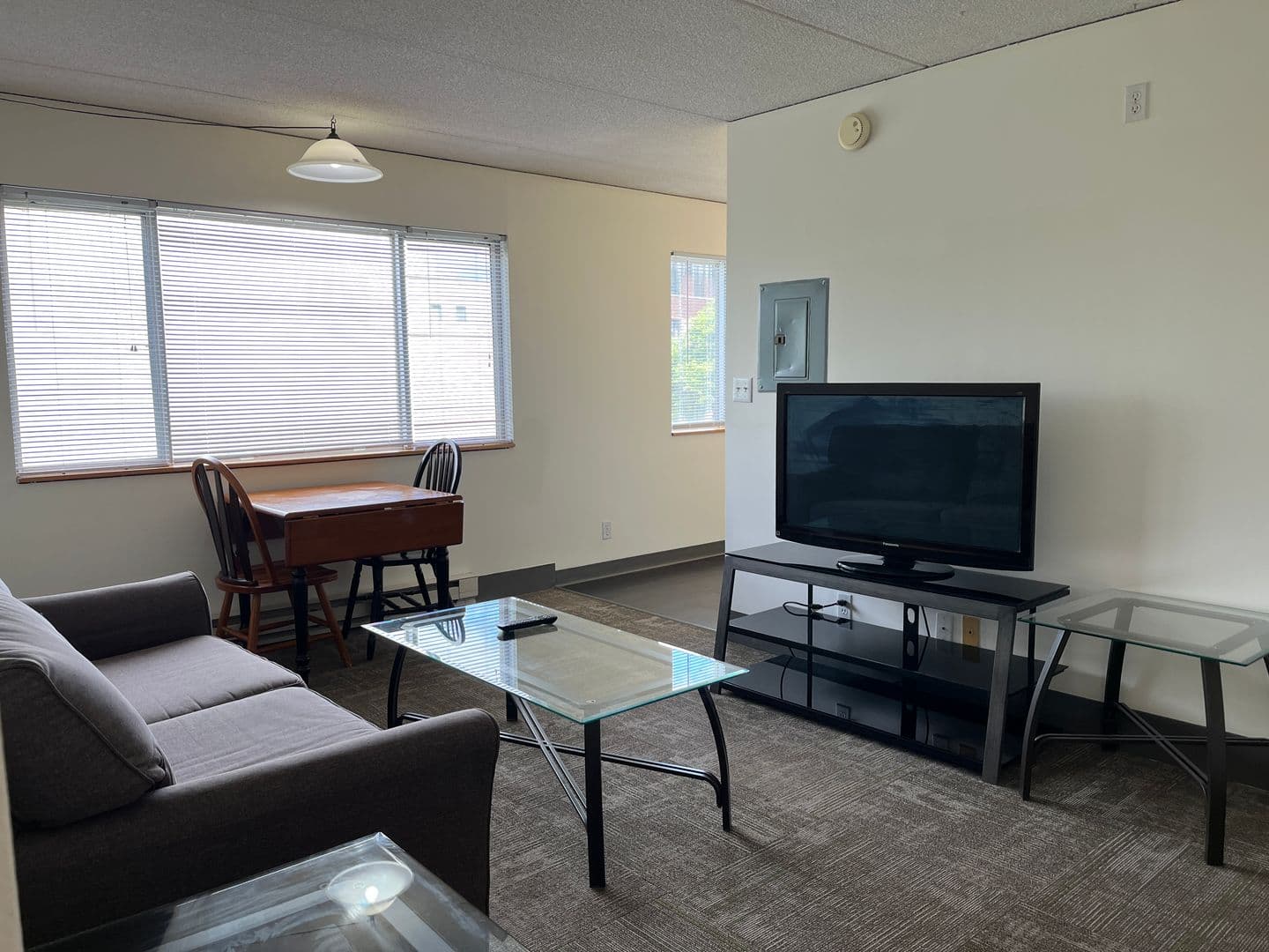 Ithaca Apartment: 110 Dryden Rd