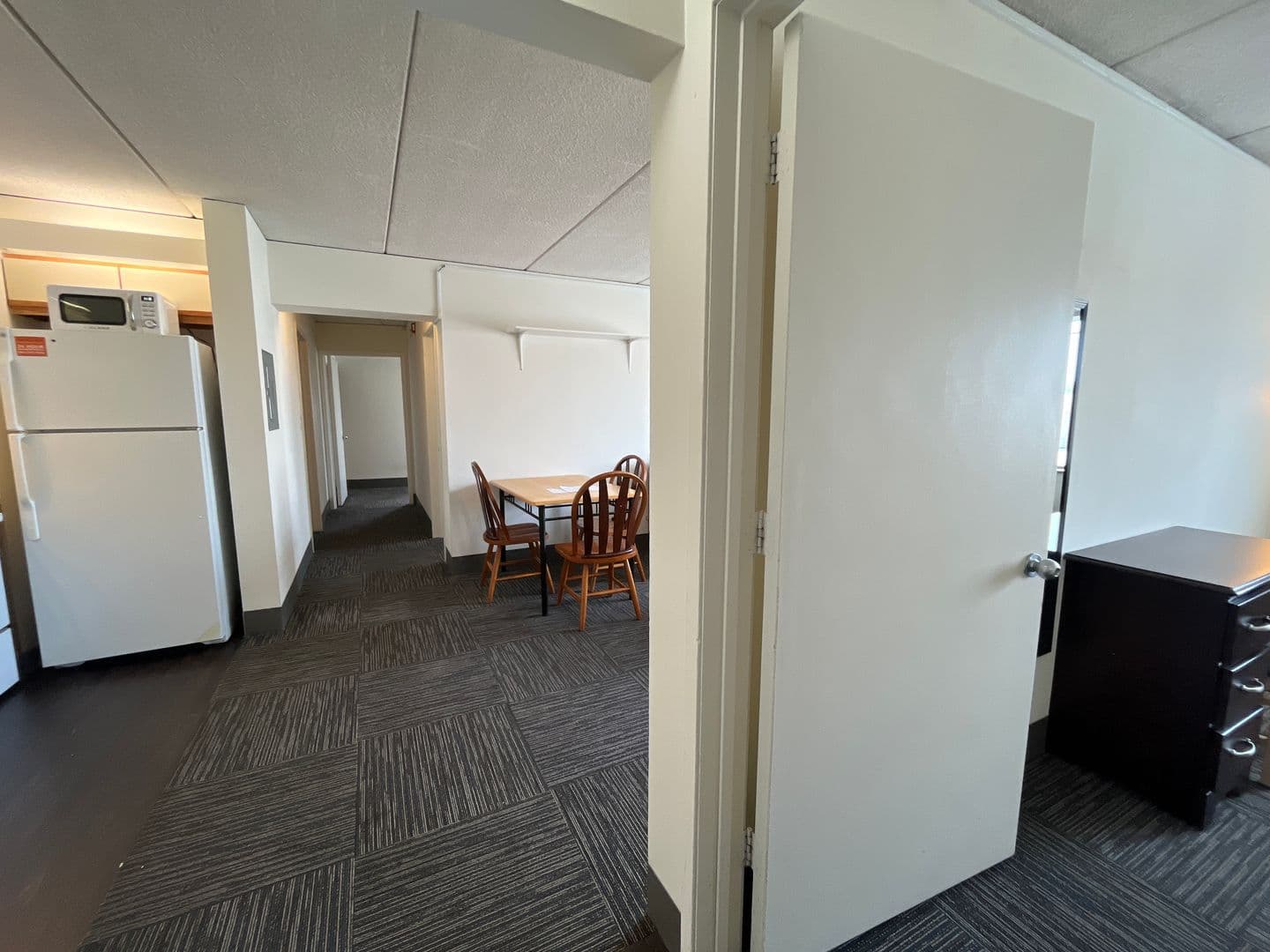 Ithaca Apartment: 110 Dryden Rd