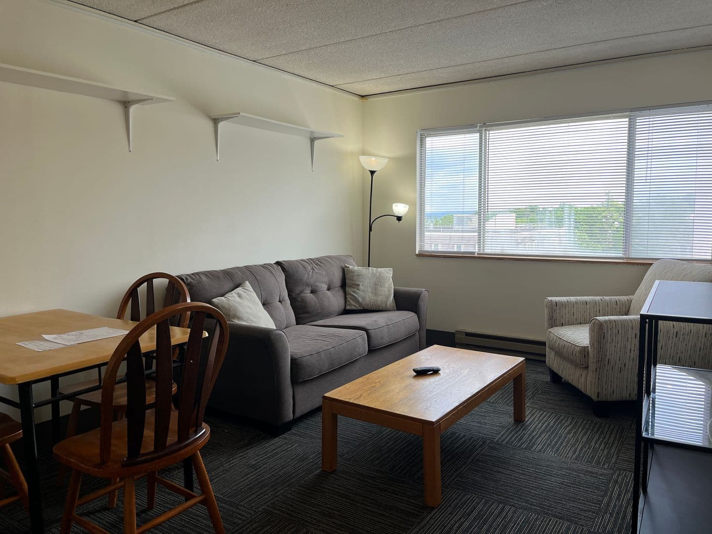 Ithaca Apartment: 110 Dryden Rd