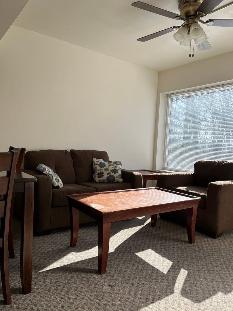 Ithaca Apartment: 516 University Ave