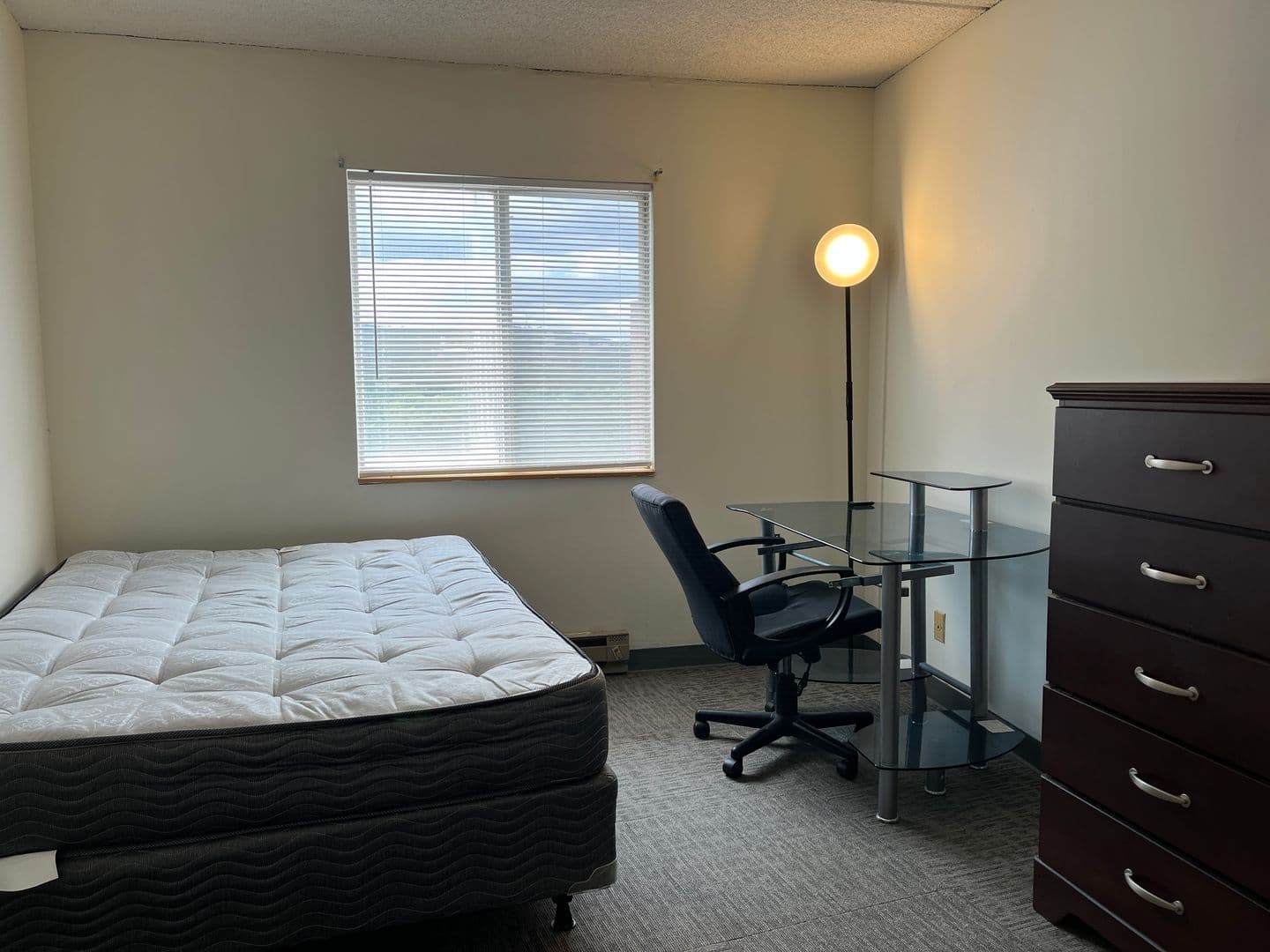 Ithaca Apartment: 110 Dryden Rd