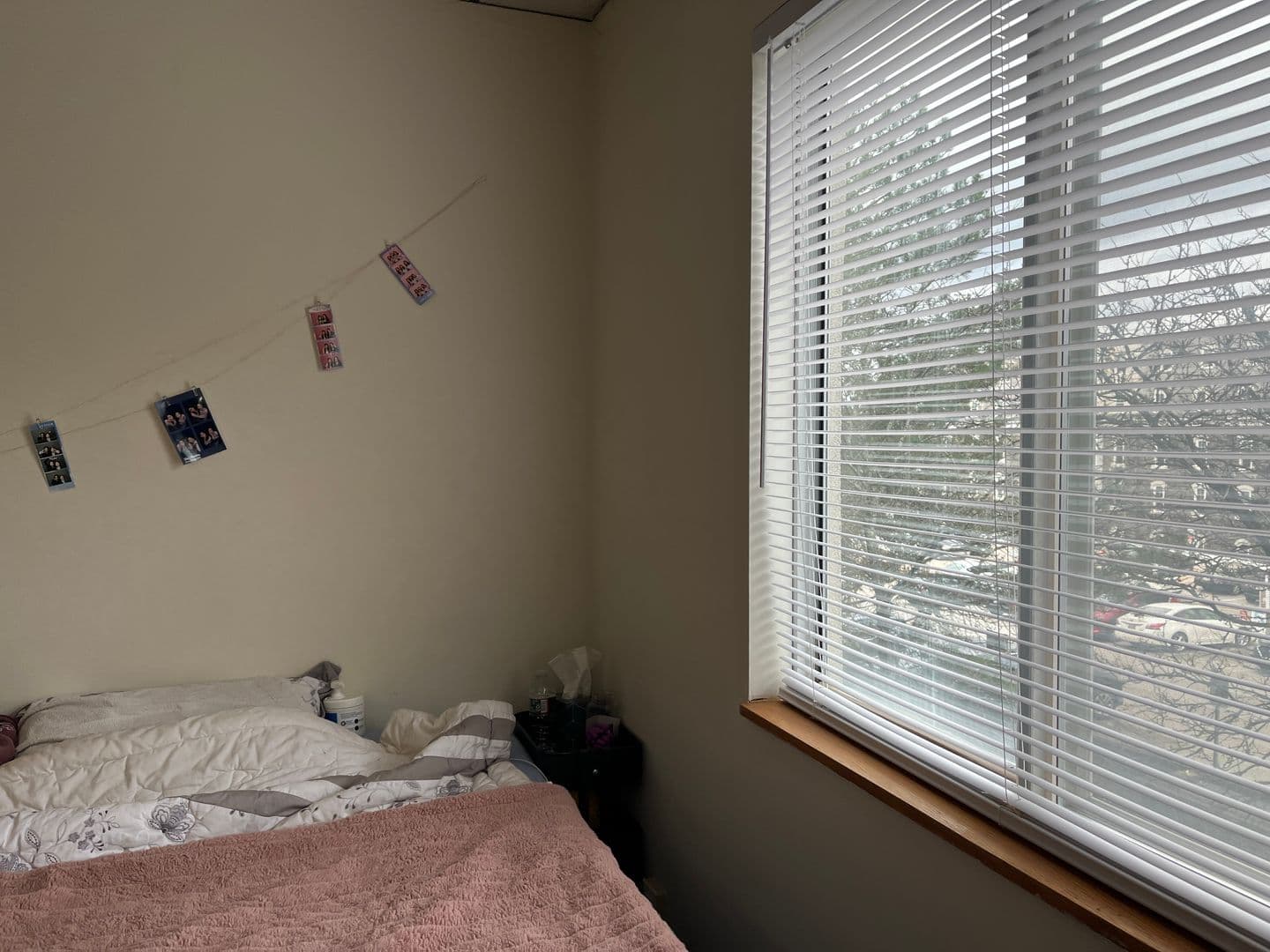 Ithaca Apartment: 110 Dryden Rd