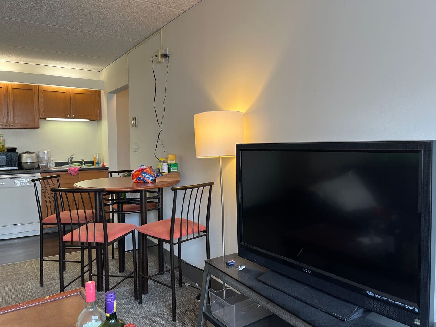 Ithaca Apartment: 110 Dryden Rd