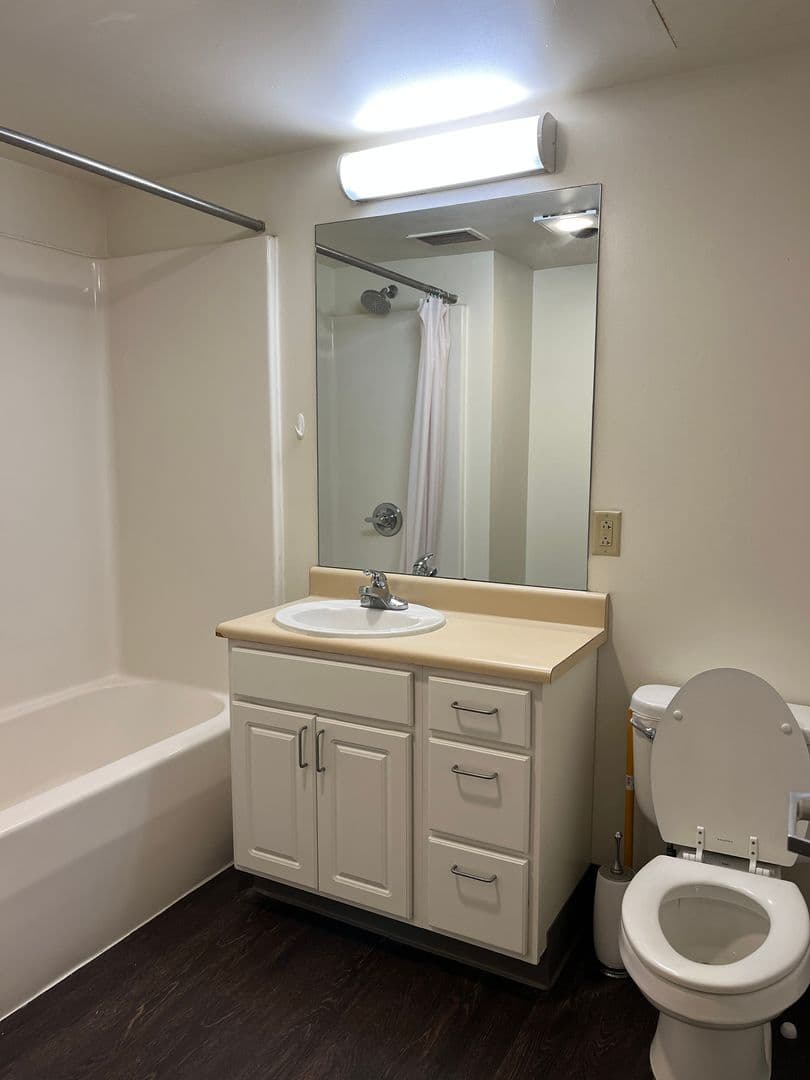 Ithaca Apartment: 407 College Ave