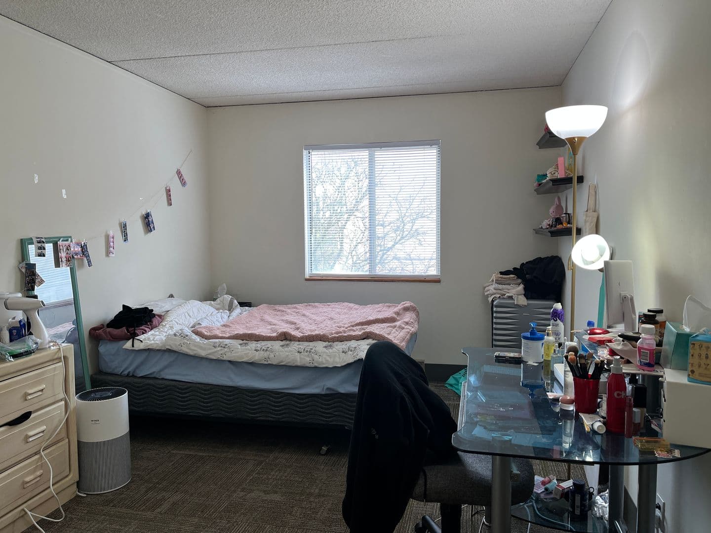 Ithaca Apartment: 110 Dryden Rd
