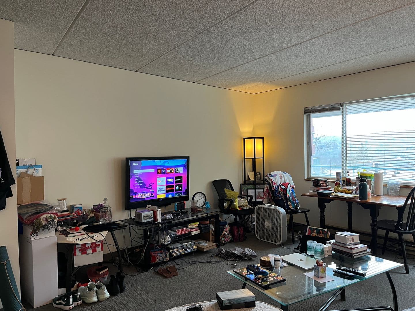 Ithaca Apartment: 110 Dryden Rd
