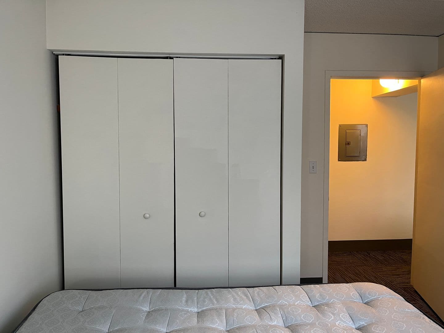 Ithaca Apartment: 110 Dryden Rd