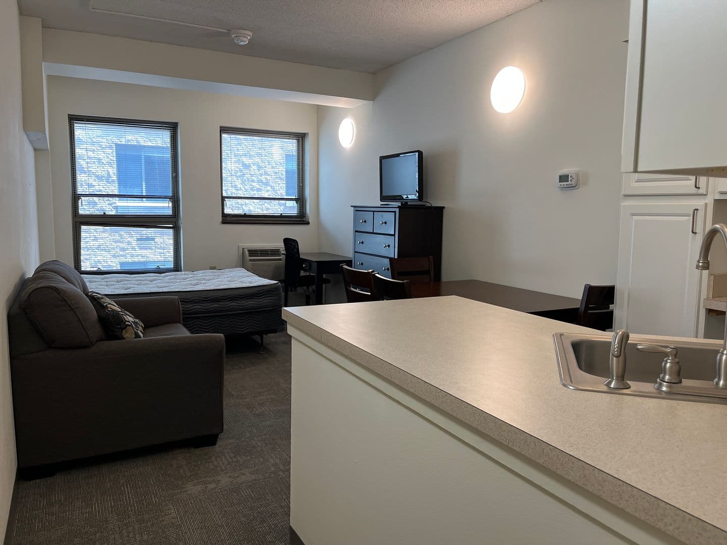 Ithaca Apartment: 407 College Ave
