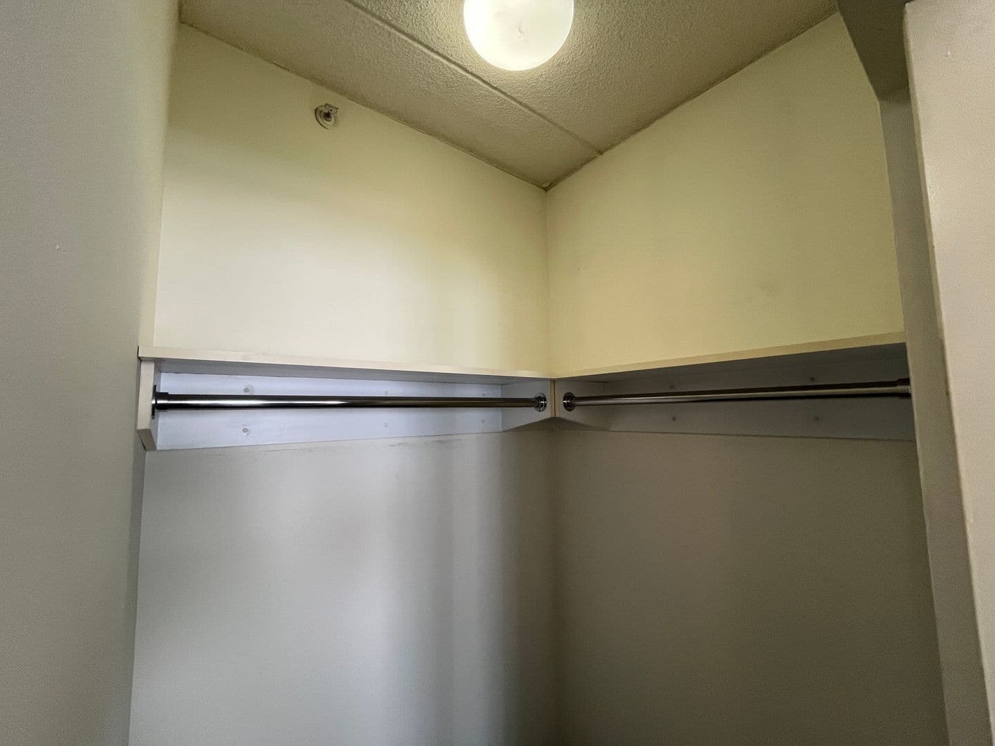 Ithaca Apartment: 407 College Ave