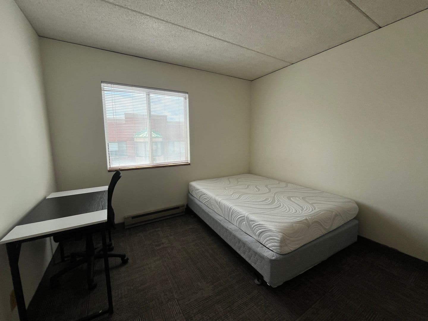 Ithaca Apartment: 110 Dryden Rd