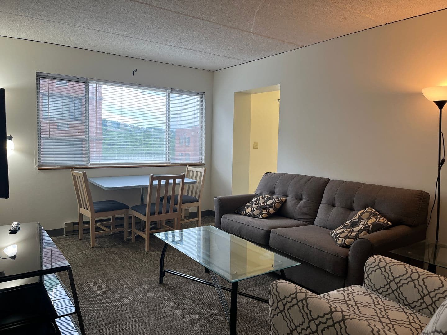 Ithaca Apartment: 110 Dryden Rd