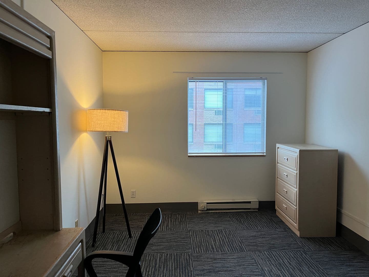 Ithaca Apartment: 110 Dryden Rd