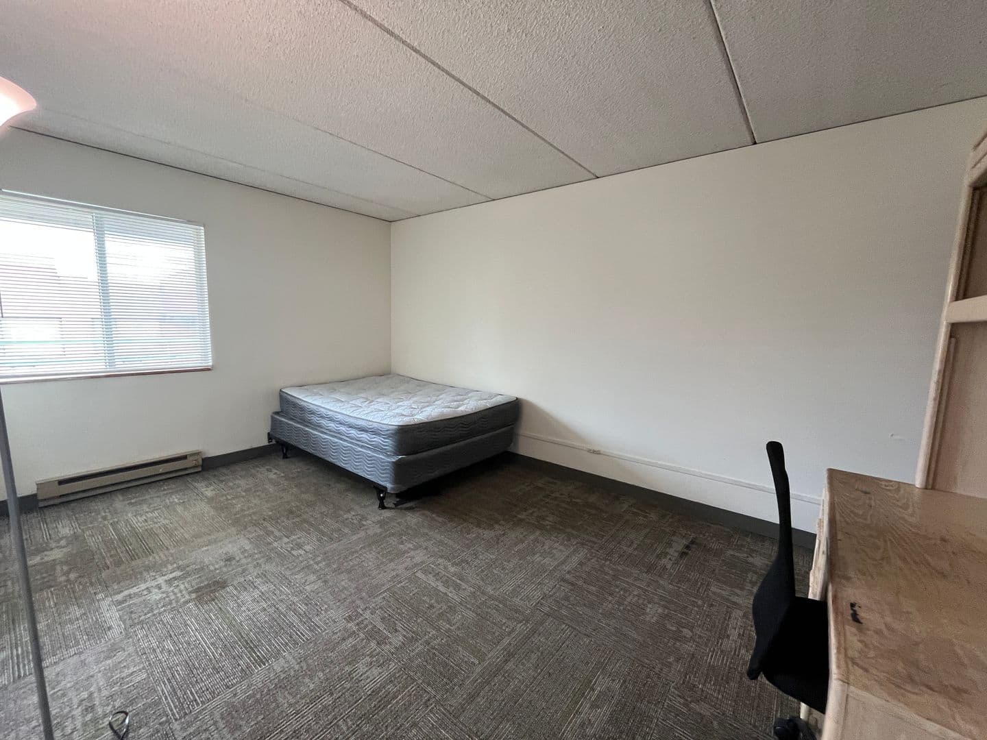 Ithaca Apartment: 110 Dryden Rd