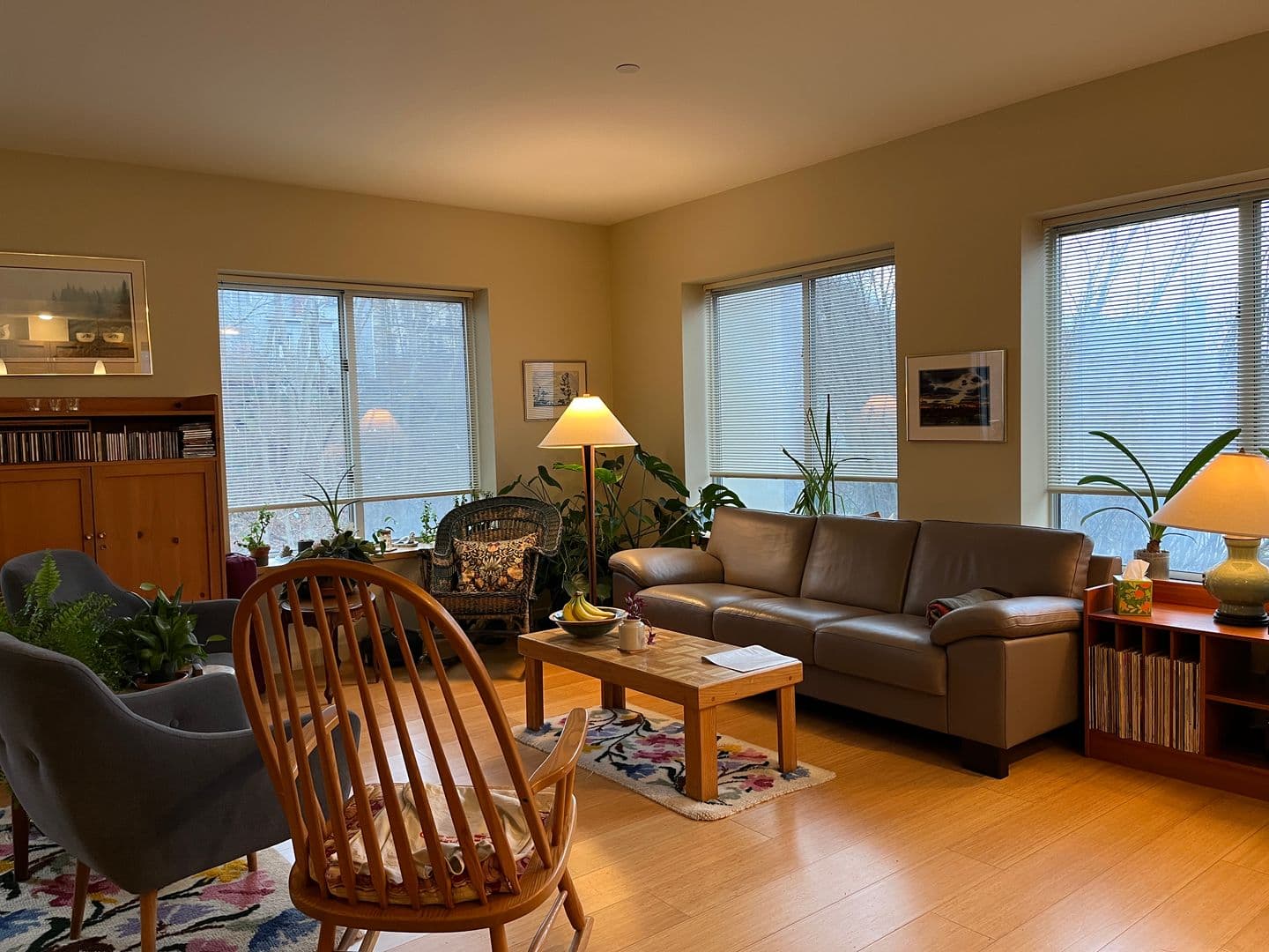 Ithaca Apartment: 311 E Green