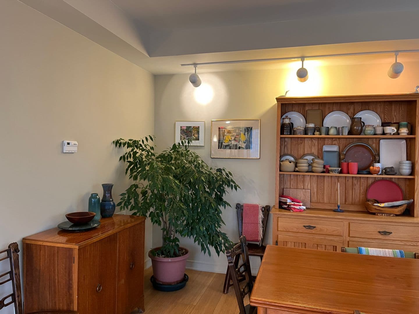 Ithaca Apartment: 311 E Green