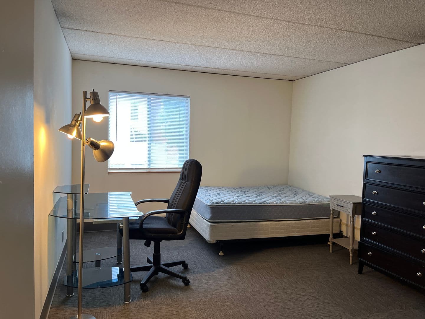 Ithaca Apartment: 110 Dryden Rd