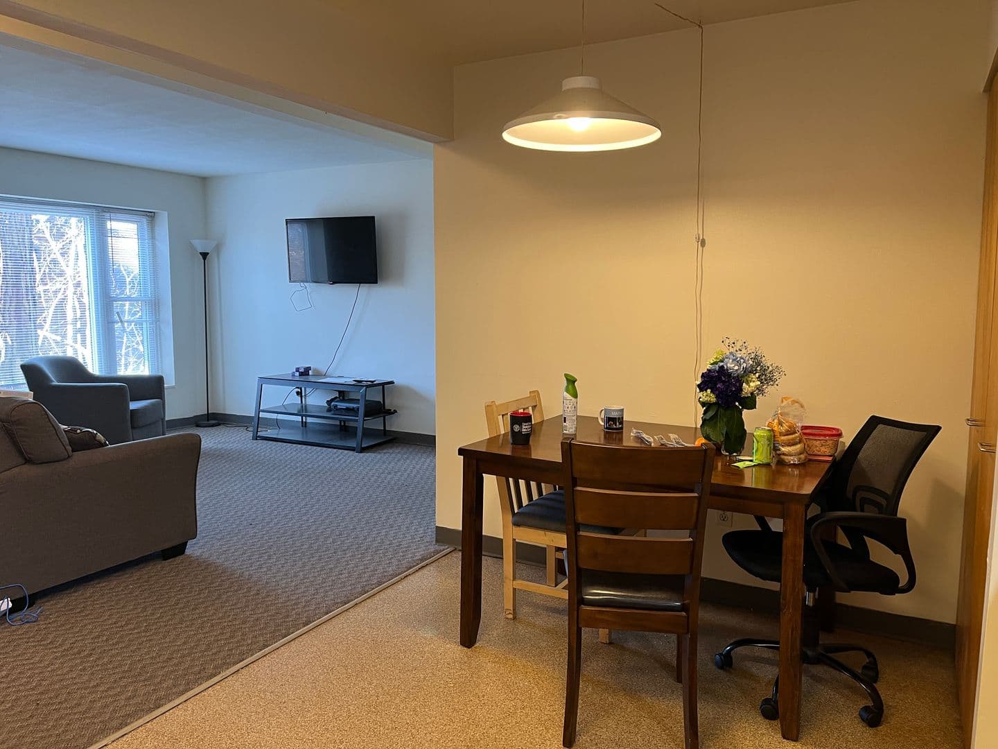Ithaca Apartment: 516 University Ave