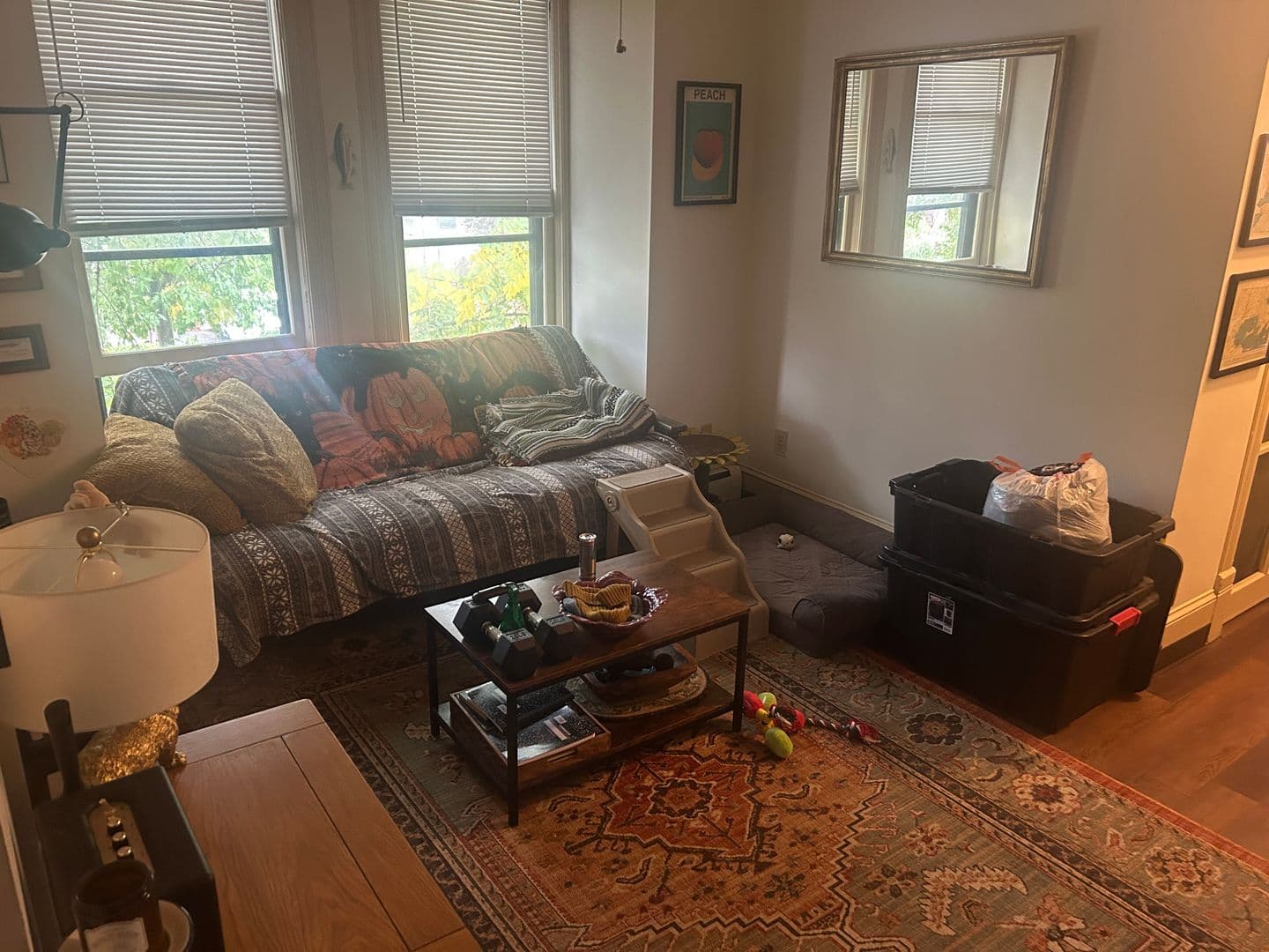 Ithaca Apartment: 321-323 N Tioga St