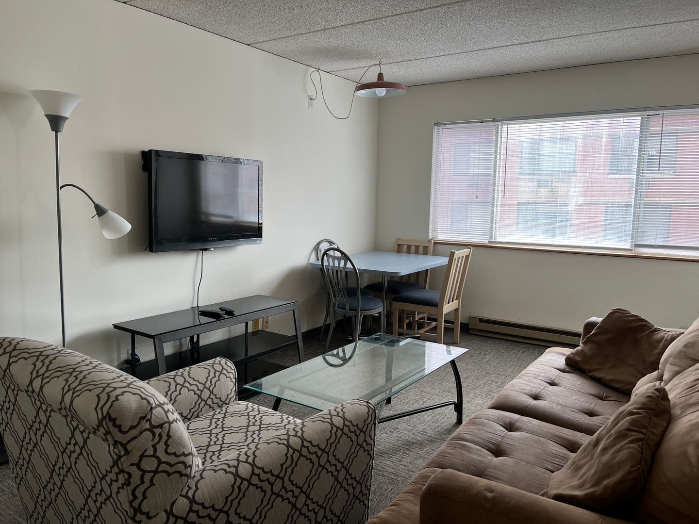 Ithaca Apartment: 110 Dryden Rd
