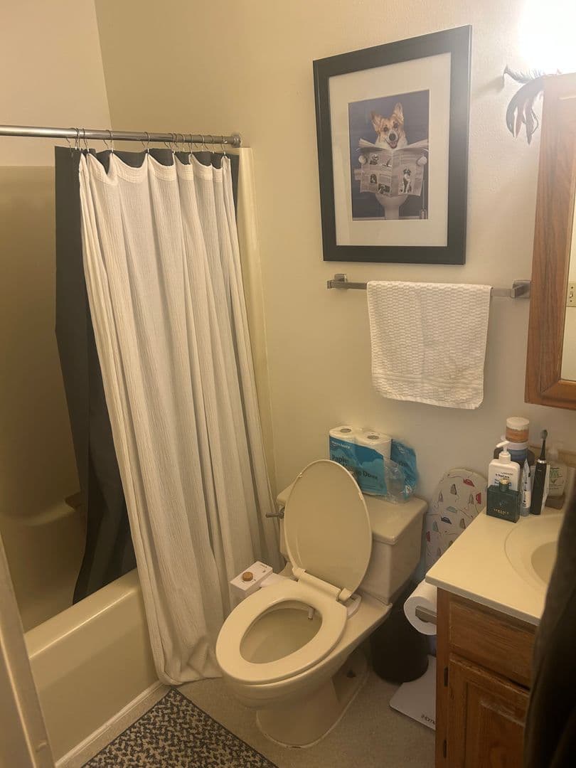 Ithaca Apartment: 321-323 N Tioga St