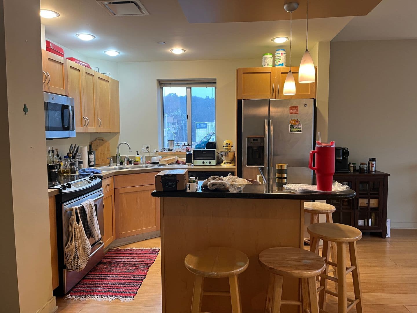 Ithaca Apartment: 311 E Green