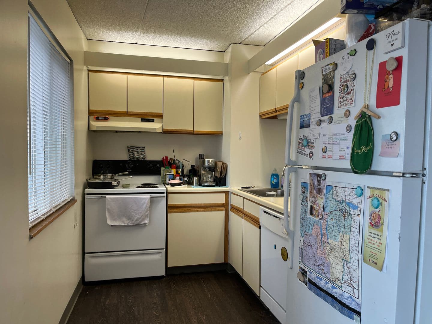 Ithaca Apartment: 110 Dryden Rd