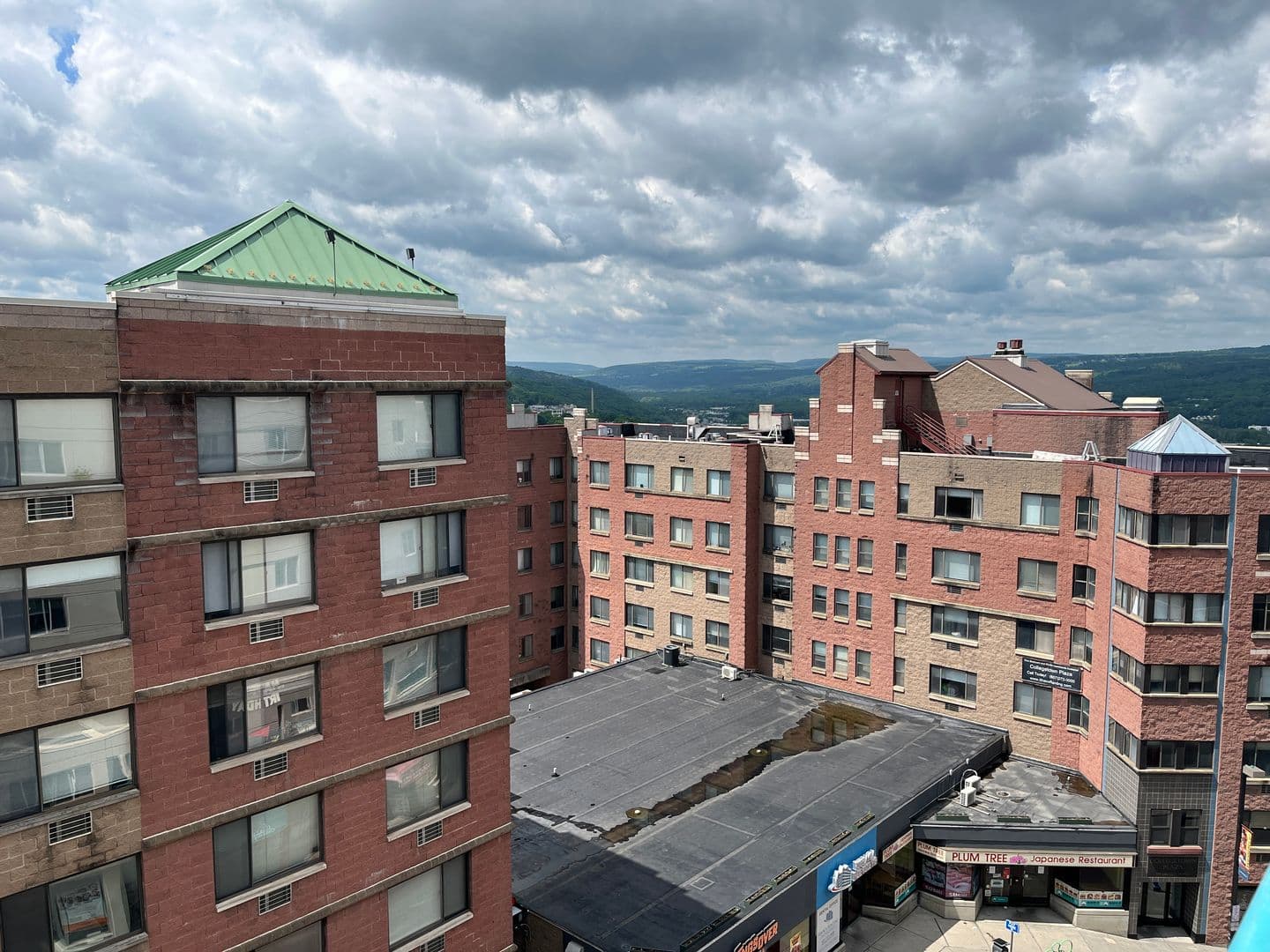Ithaca Apartment: 110 Dryden Rd